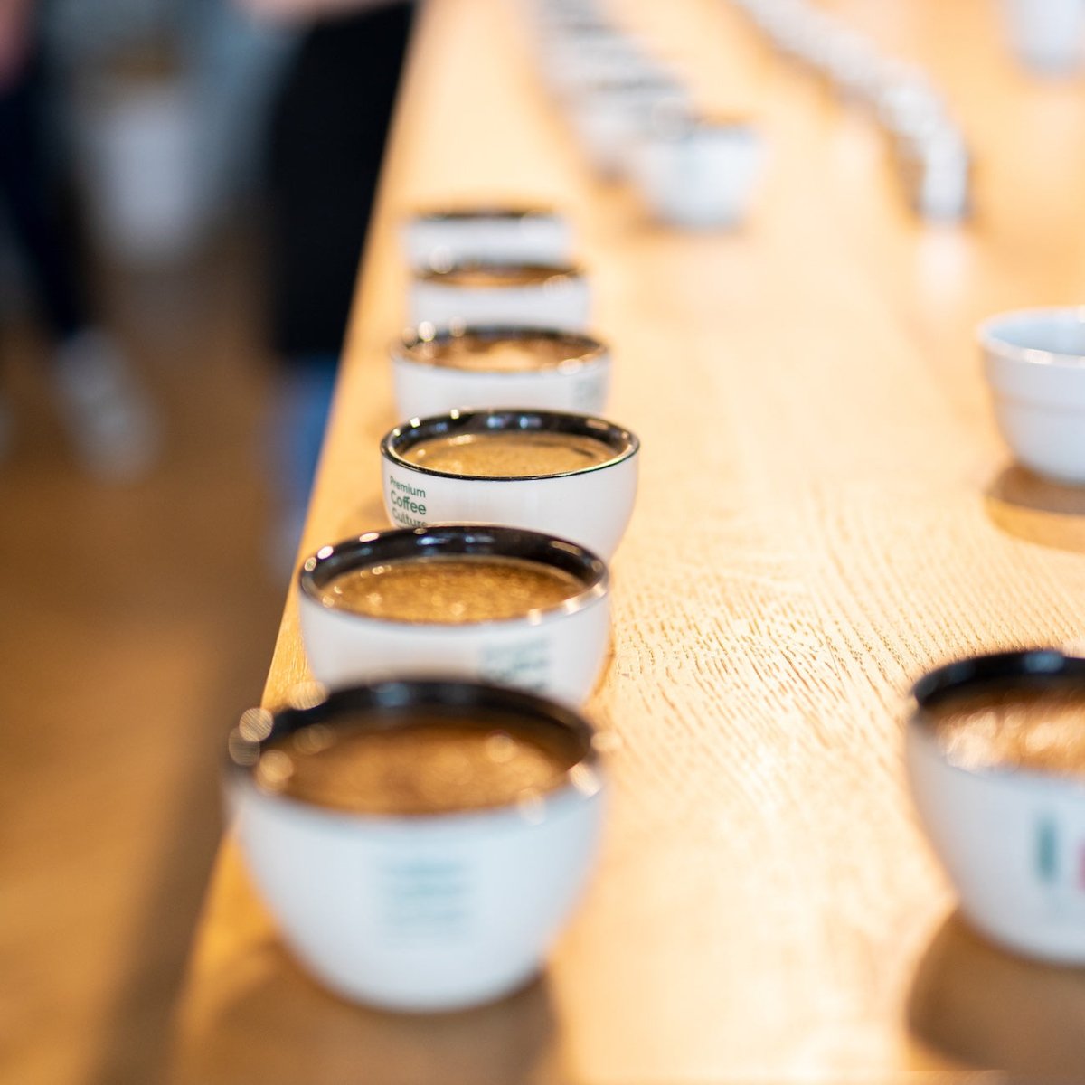 19grams Cupping Cups hintereinader aufgreiht